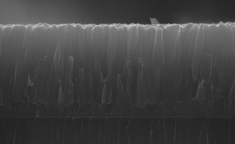 Standard-TiN Mikrostruktur (SEM)