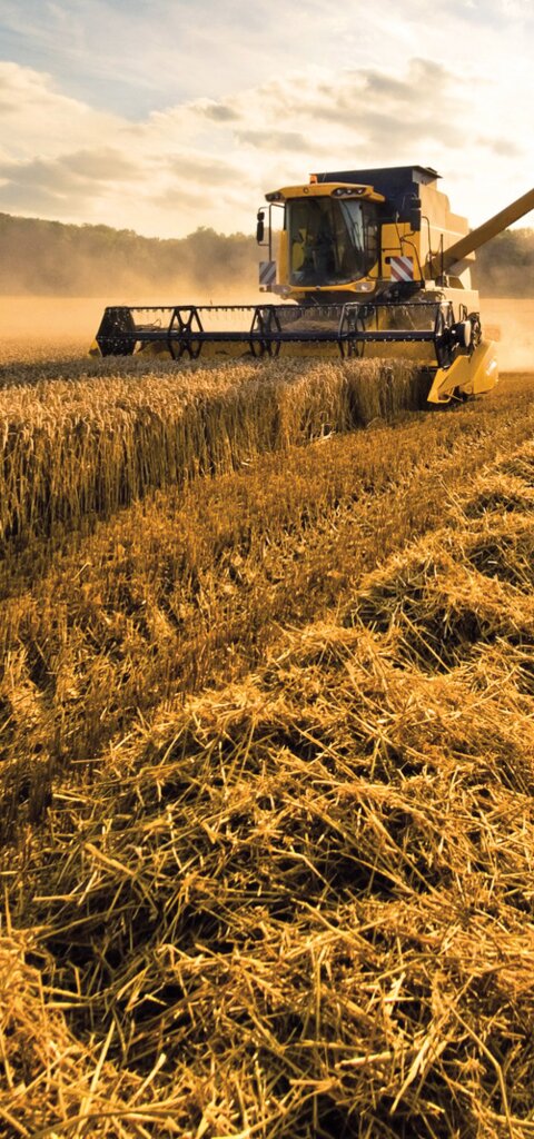Eine Erntemaschine, die auf einem goldenem Feld bei strahlend blauem Himmel die Ernte einfährt.