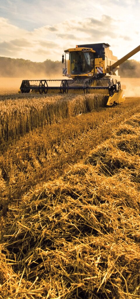 Eine Erntemaschine, die auf einem goldenem Feld bei strahlend blauem Himmel die Ernte einfährt.